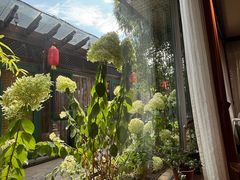 -慢丽江·云南野生菌土鸡锅(付家庄店)