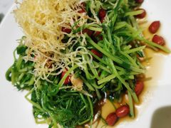 -青花椒花椒鱼(合生汇店)