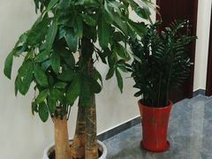 -张钰强中医正骨推拿连锁(唐家人才公寓店)