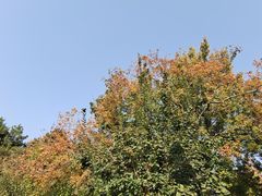 -元大都城垣遗址公园