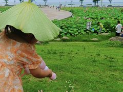 -滆湖低碳生态公园