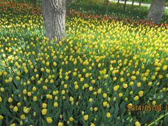 壮观-长春公园(普阳街道)