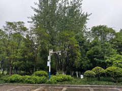 -滨湖塘西河公园