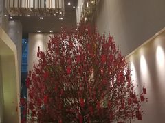 -深圳湾木棉花酒店