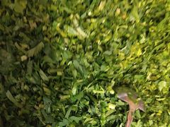 -阿串串老火锅(力盟店)