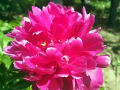 -长春公园(普阳街道)