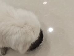 -佳雯宠物医院(四明中路分院)