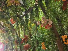 -芜湖方特东方神画