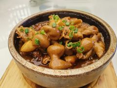 -芙蓉凰花园酒楼