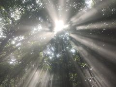 -青青世界