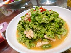 桑叶核桃仁-葛记焖饼(伏牛路店)