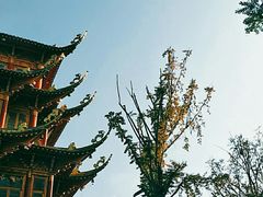 -龙潭水乡