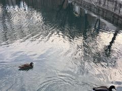 -宗角禄康公园