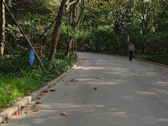 -吴淞炮台湾湿地森林公园烧烤区