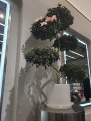 -東田造型