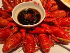 -杨氏青龙虾·羊蝎子(托乐嘉店)