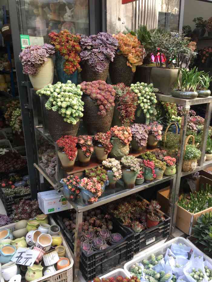 裕丰花市f区-"裕丰花市下午没事散散步,心旷神怡,价格还.