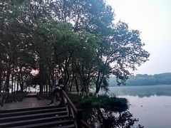 -茅家埠