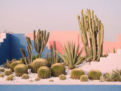 -漳州滨海火山岛自然生态风景区