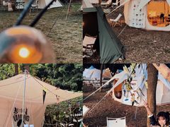 -南宁良凤江国家森林公园