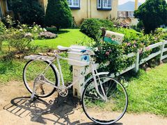 -黄色小屋