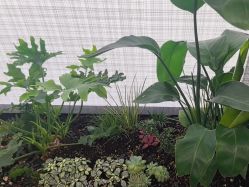 -重庆军科整形美容医院