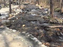 -玉渡山自然风景区