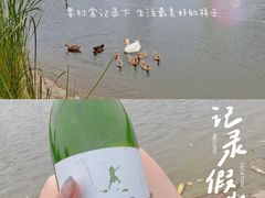 -黄兴公园