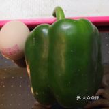 家常菜中简易的 脆绿营养的鲜椒炒鸡蛋