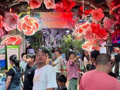 -正佳雨林生态植物园