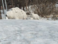 -沈阳奥体冰雪嘉年华