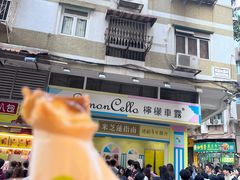 -柠檬车露(卖草地店)