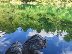 -石台牯牛降景区