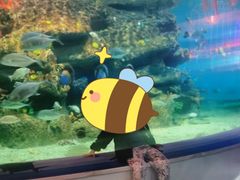 -沙沙哗啦海洋馆(华宇百花谷店)