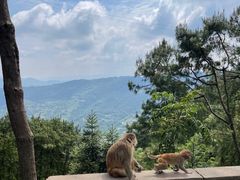 -重庆雨台山风景区
