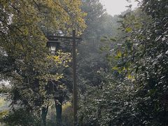 -杭州植物园