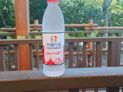 -芜湖方特东方神画