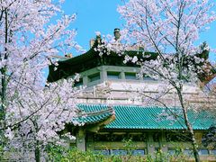 -武汉大学-樱园