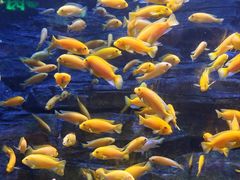 -多彩贵州城极地海洋世界