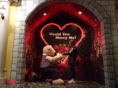 -济州岛泰迪熊博物馆