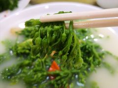 -寻味顺德·南记酒家·传统顺德菜·鱼生(广源路店)