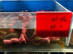 -华盛丰温州大排档(东三环南路店)