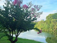 -艾溪湖湿地公园