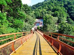 -少华山国家森林公园