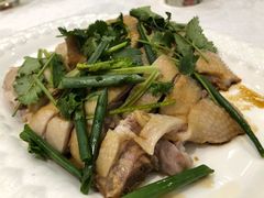 -鹅城