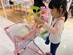-Moni星球萌宠·小马宝莉·灵蛇·高端高阶全萌宠互动体验俱乐部(红豆国际广场店)