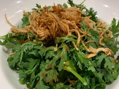 蒜味茼蒿-沪碟·精菜坊(闵行店)