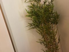 -小隐·采耳头疗spa(环宇城店)