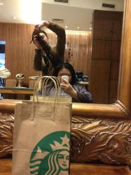 修剪造型-红人馆造型世爵国际