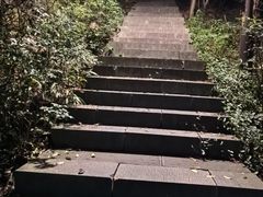 -杭州半山国家森林公园